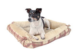 Cushion Bed for Dogs cats